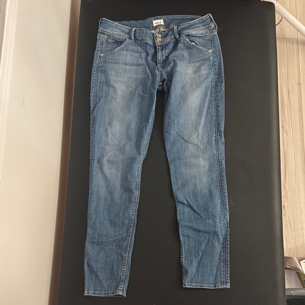 Hudson Jeans Blue Skinny Denim